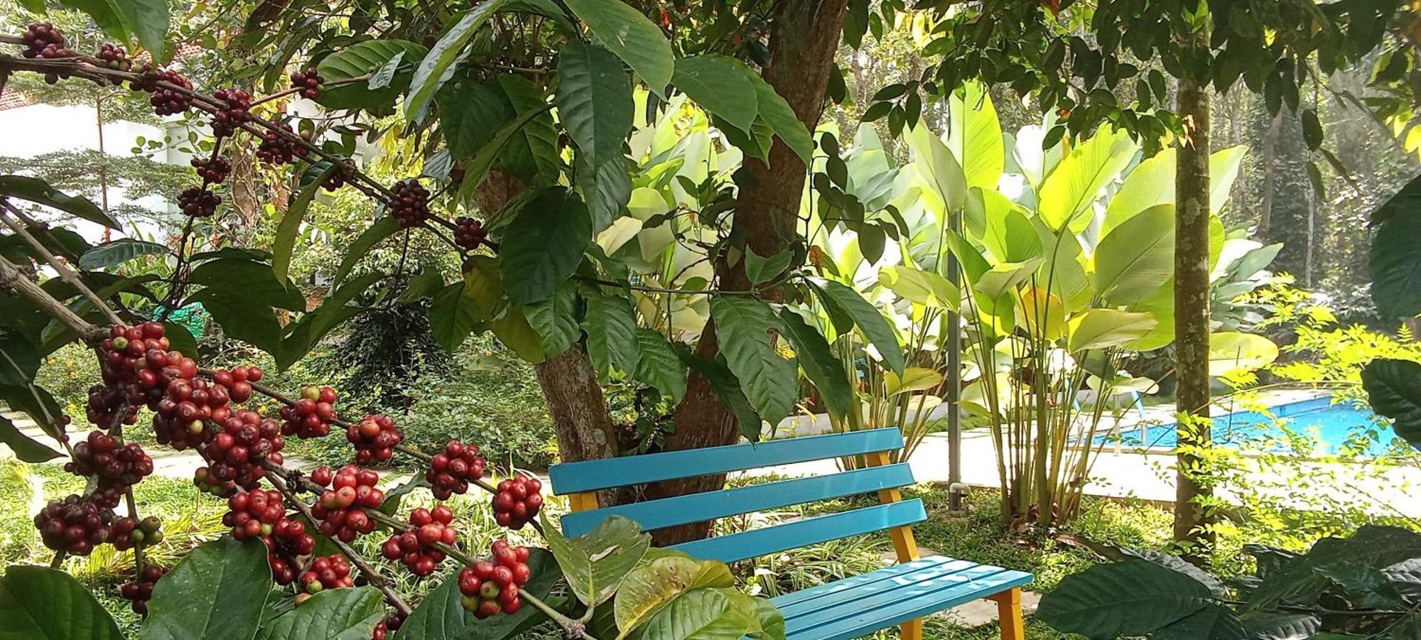 Le Vista Resort สุลต่านบาเทรี ภายนอก รูปภาพ